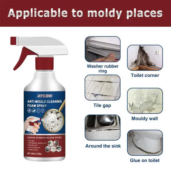 Instant Mould Remover