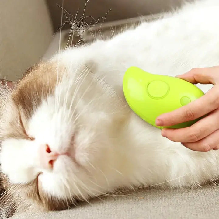 Steam Pet Brush